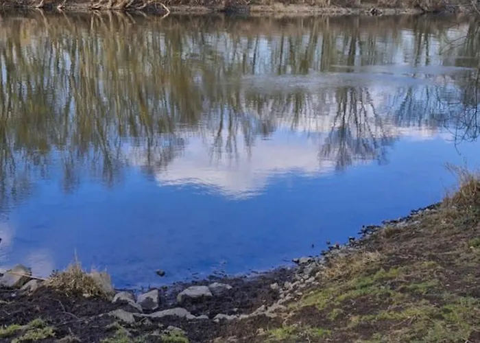 アパート Halle/lettin ハレ