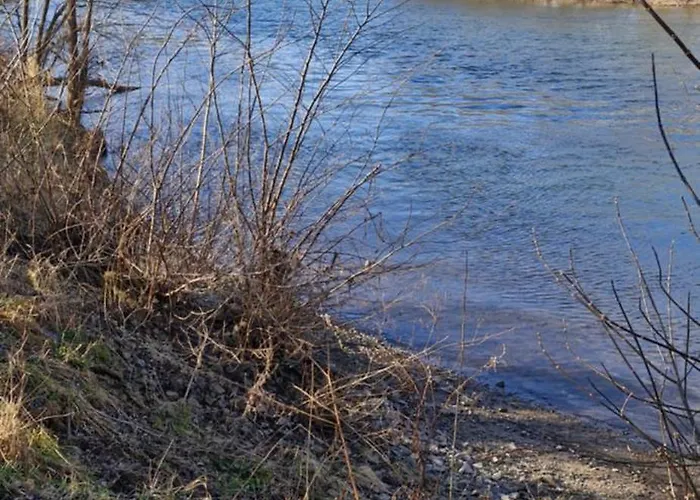 Halle/lettin Halle (Saale)